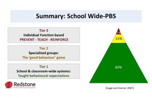 school wide PBS slide19
